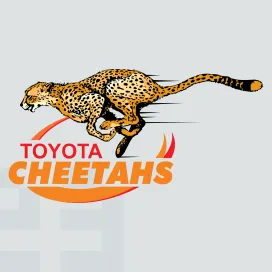 Cheetahs rugby